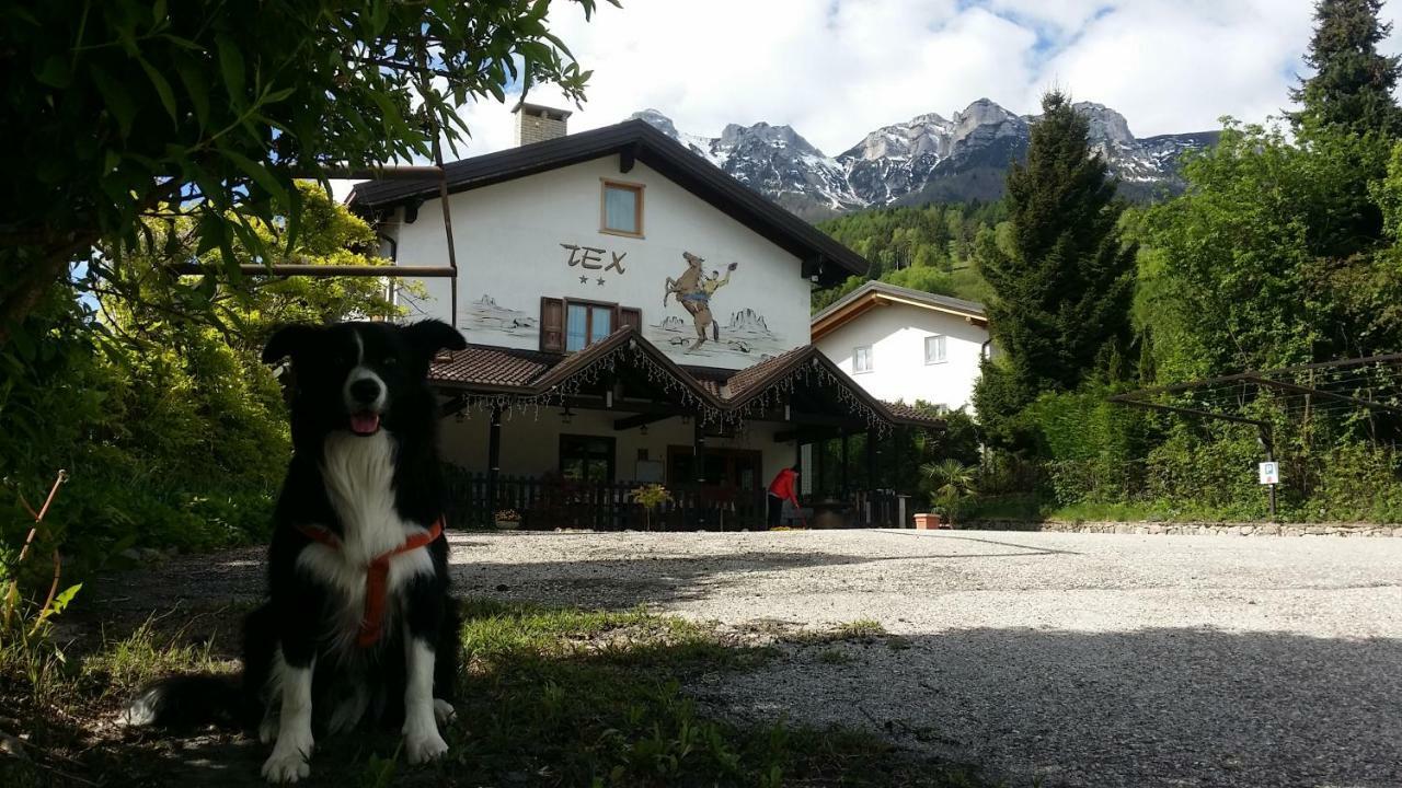Botton D'Oro Delle Dolomiti Bed & Breakfast Vattaro Ngoại thất bức ảnh